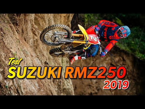 SUZUKI RMZ250 2019 – nach der Neu-Auflage noch  „yellow magic“?